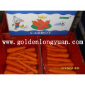 Fresh Carrot 2016 New Crop